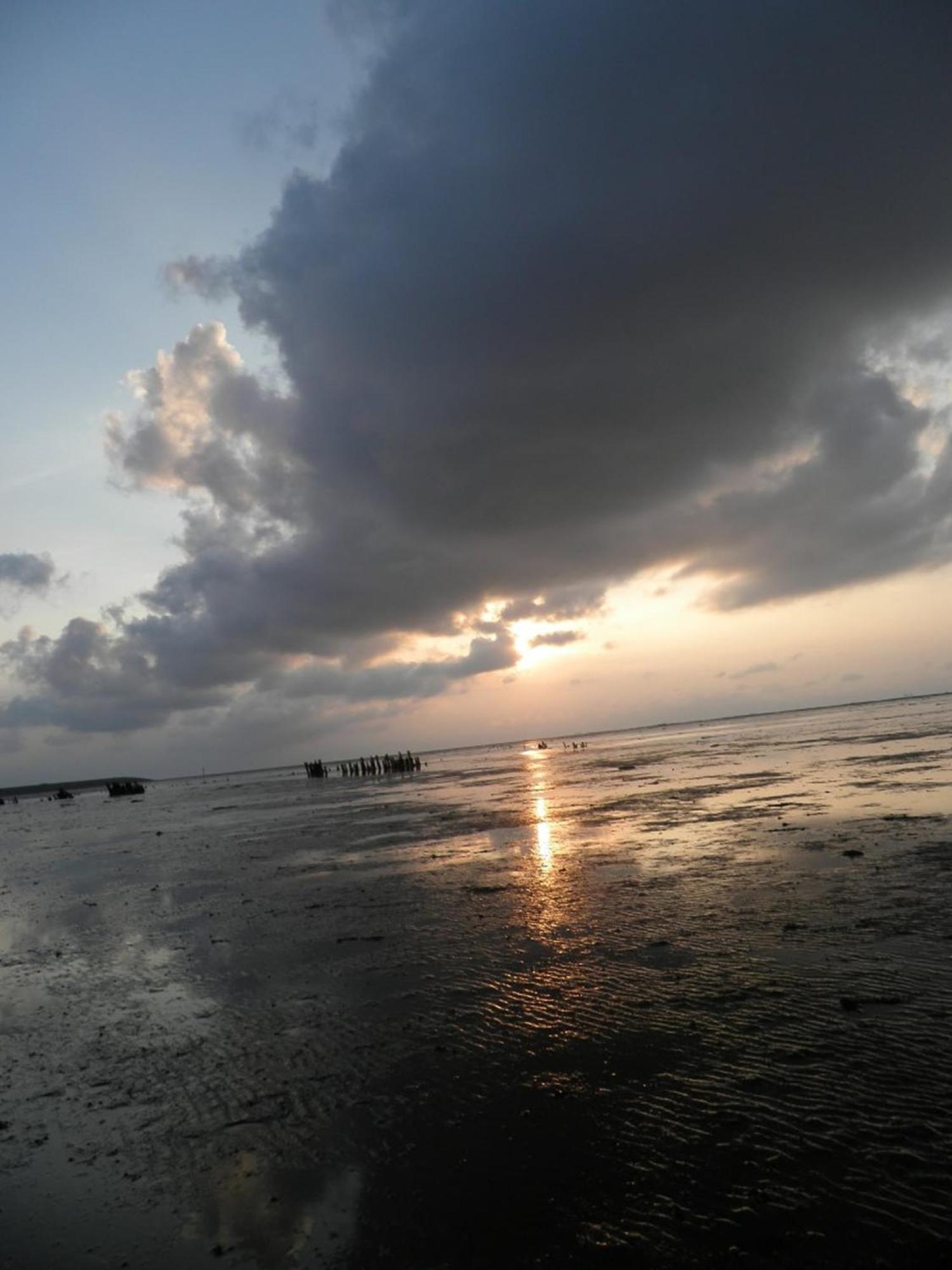8 Pers House 'Capitein Theis' With Seaside In Front Of The Lauwersmeer Anjum Luaran gambar
